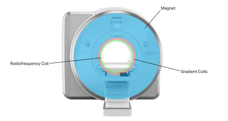 Magnetic Resonance Imaging (MRI, NMRI, MRT) - Twomey Consulting, LLC