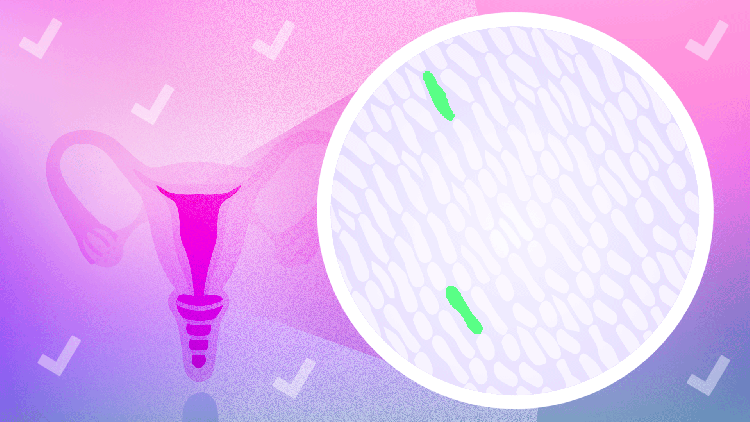 Colposcopy - Brookside Gynecology