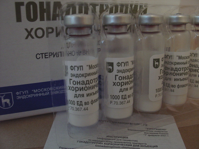 gonadotropin